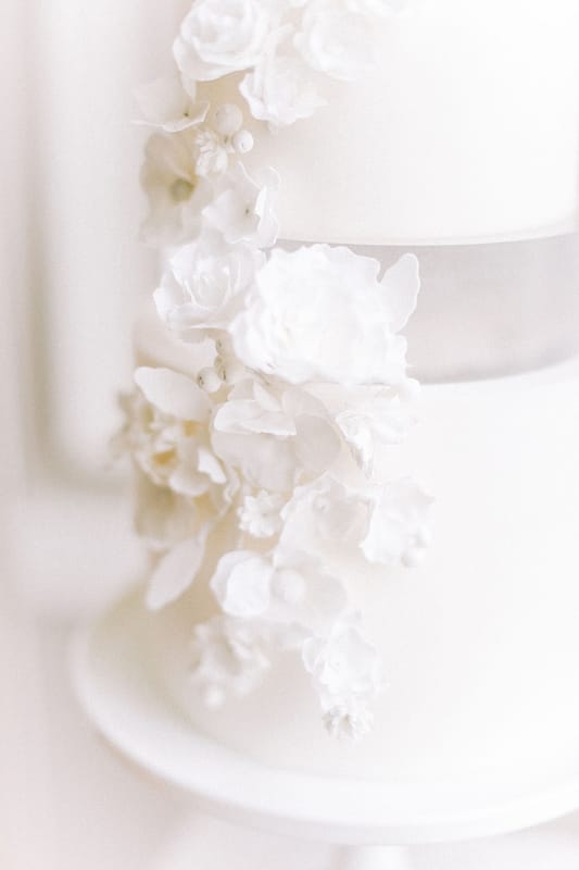 Image by <a class="text-p3" href="https://www.charlottewisephotography.co.uk" target="_blank">Charlotte Wise Fine Art Photography</a>.