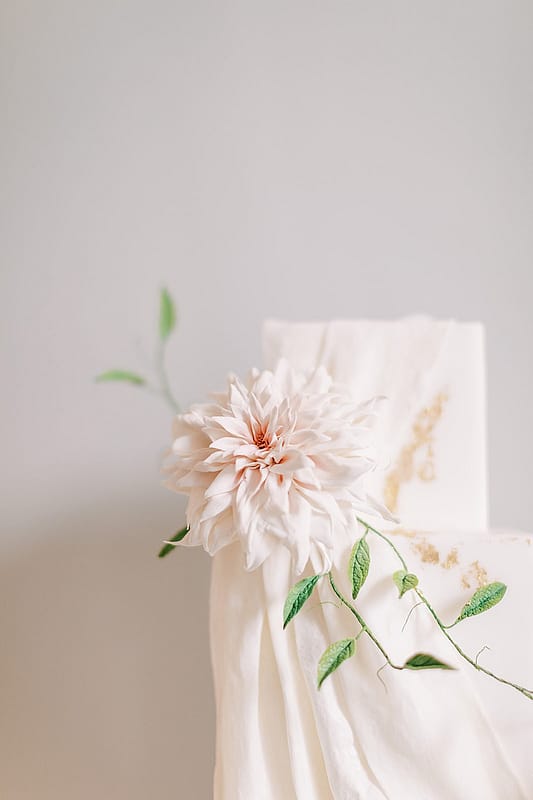 Image by <a class="text-p3" href="https://www.sophiemayphoto.co.uk" target="_blank">Sophie May Photo</a>.