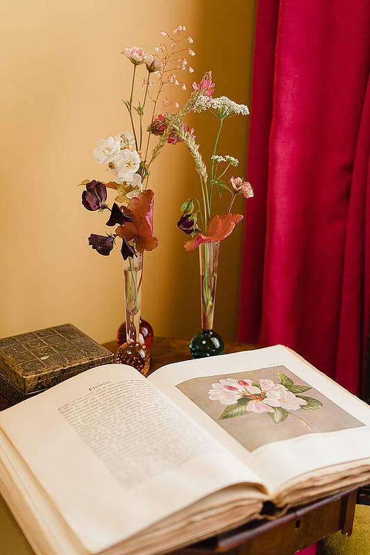 Image by <a class="text-p3" href="http://www.newforeststudio.com" target="_blank">New Forest Studio</a>.