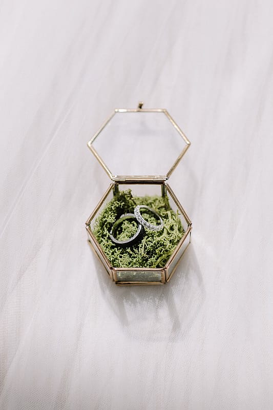 Image by <a class="text-p3" href="http://www.rebeccagoddardphotography.com" target="_blank">Rebecca Goddard Photography</a>.
