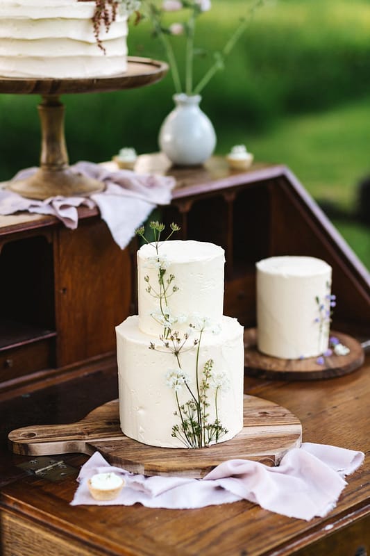 Image by <a class="text-p3" href="https://www.debsalexander.com" target="_blank">Debs Alexander Photography</a>.