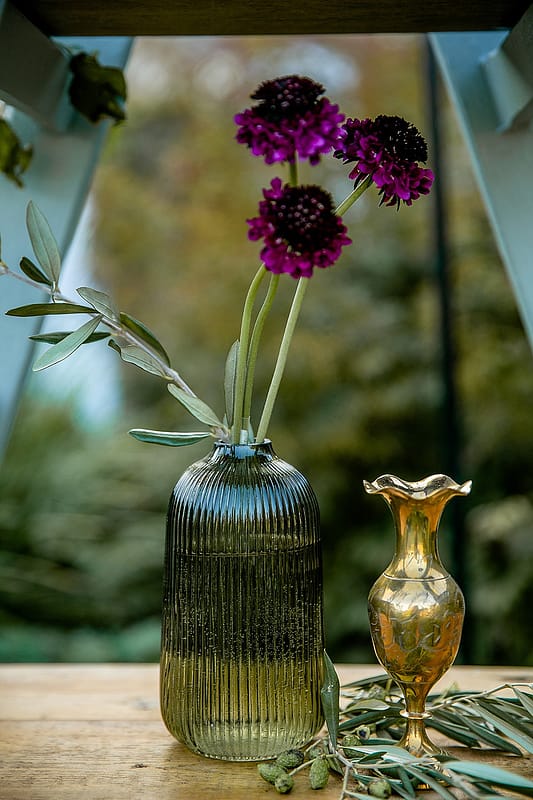 Image by <a class="text-p3" href="http://www.vla-photography.co.uk" target="_blank">VLA Photography</a>.