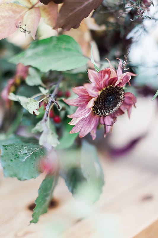 Image by <a class="text-p3" href="http://www.jobradbury.co.uk" target="_blank">Jo Bradbury Photography</a>.