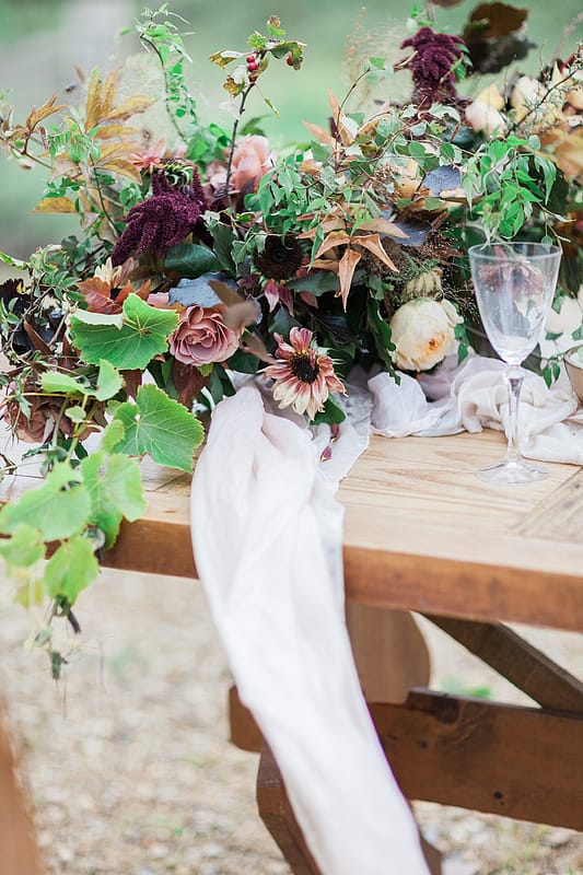 Image by <a class="text-p3" href="http://www.jobradbury.co.uk" target="_blank">Jo Bradbury Photography</a>.