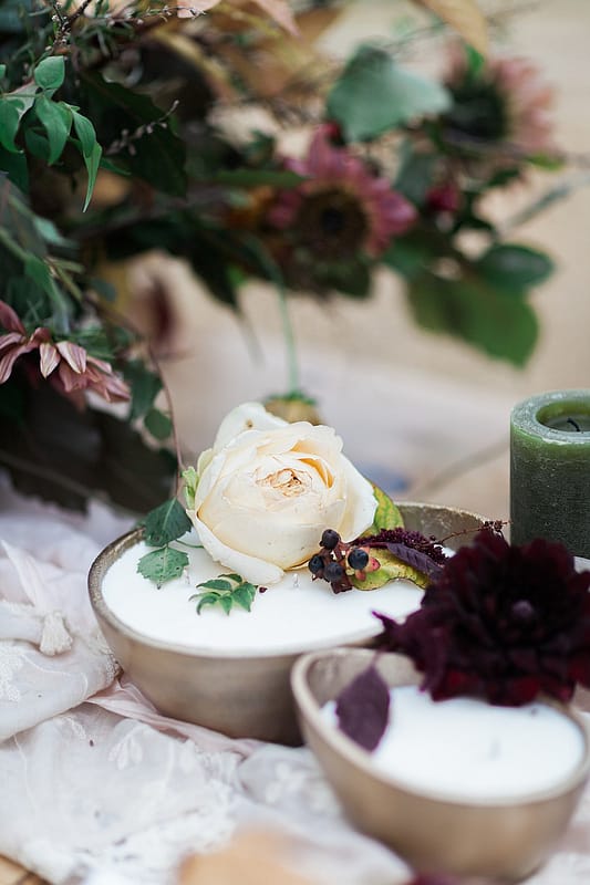 Image by <a class="text-p3" href="http://www.jobradbury.co.uk" target="_blank">Jo Bradbury Photography</a>.