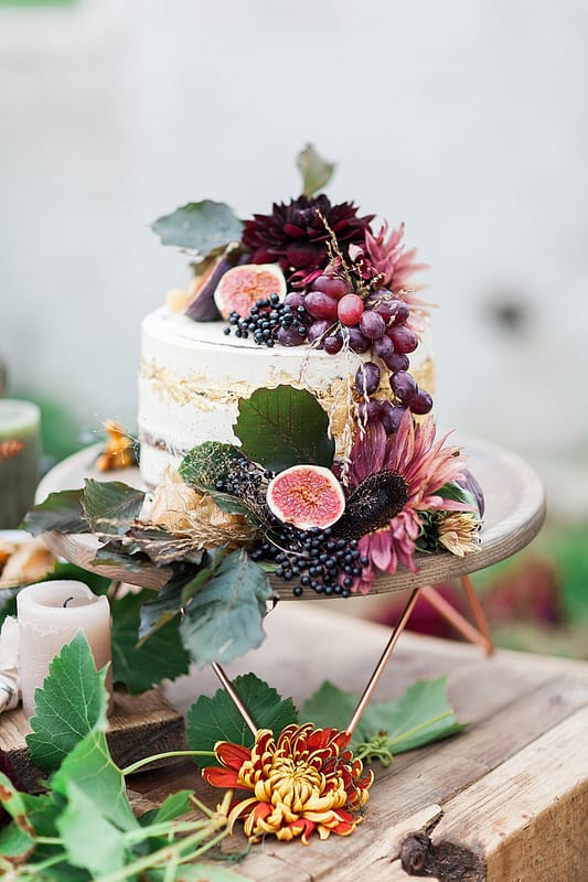 Image by <a class="text-p3" href="http://www.jobradbury.co.uk" target="_blank">Jo Bradbury Photography</a>.