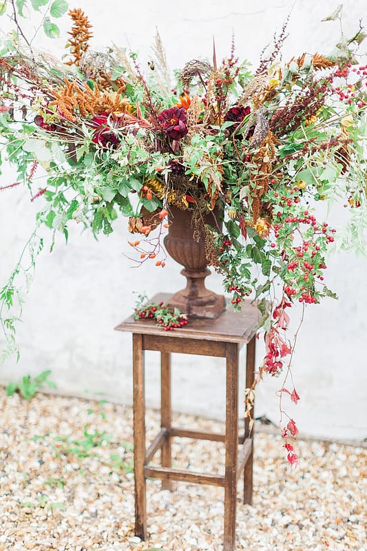 Image by <a class="text-p3" href="http://www.jobradbury.co.uk" target="_blank">Jo Bradbury Photography</a>.