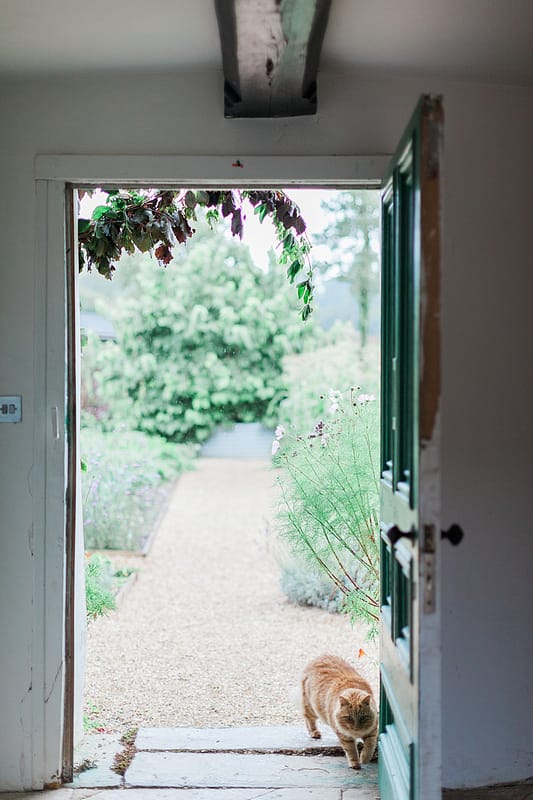 Image by <a class="text-p3" href="http://www.jobradbury.co.uk" target="_blank">Jo Bradbury Photography</a>.
