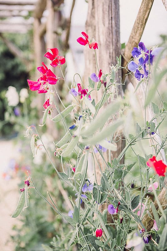 Image by <a class="text-p3" href="https://www.jenniferjanephotography.co.uk" target="_blank">Jennifer Jane Photography</a>.