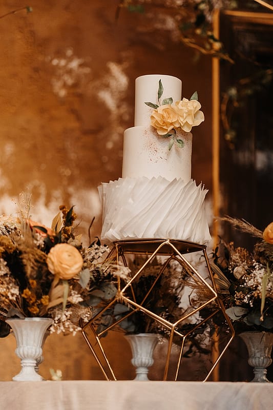 Image by <a class="text-p3" href="https://www.charlottenelsonphotography.co.uk" target="_blank">Charlotte Nelson Photography</a>.