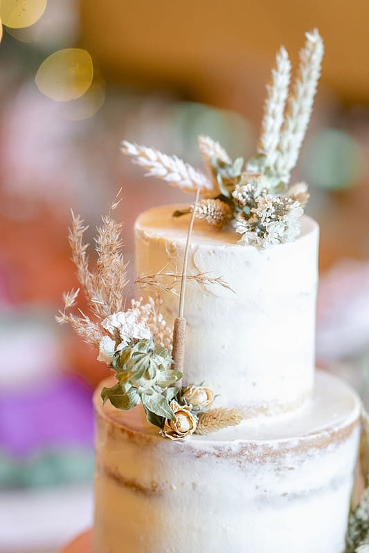Image by <a class="text-p3" href="http://www.jessicaraphaelphotography.com" target="_blank">Jessica Raphael Photography</a>.
