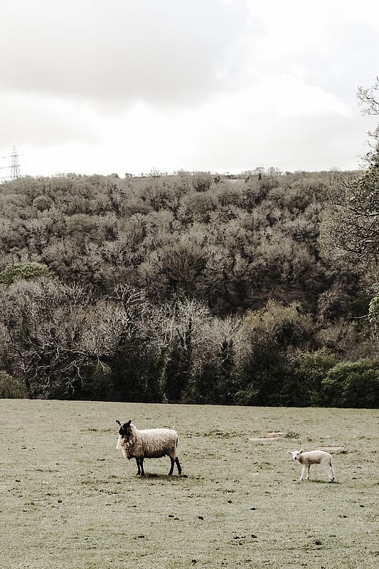 Image by <a class="text-p3" href="https://www.veritywestcottphotography.com" target="_blank">Verity Westcott Photography</a>.