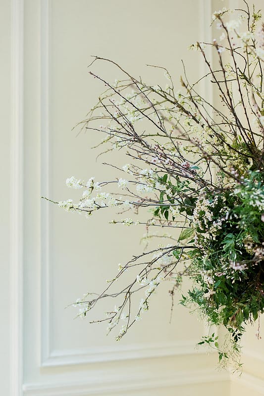 Image by <a class="text-p3" href="http://helenwarner.co.uk" target="_blank">Helen Warner Photography</a>.