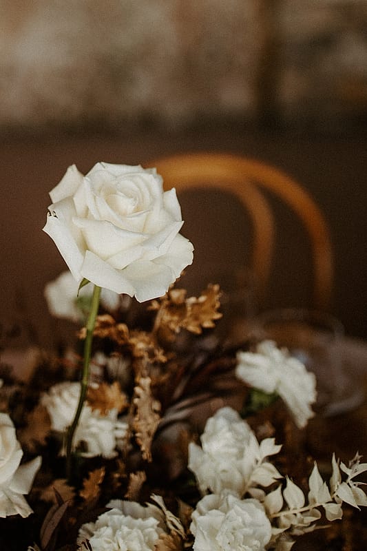 Image by <a class="text-p3" href="https://sierrakatrina.com" target="_blank">Sierra Katrina Photography</a>.