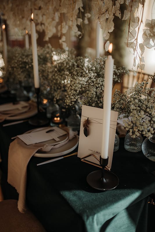 Image by <a class="text-p3" href="https://www.estherlouisetriffittphotography.com" target="_blank">Esther Louise Triffitt Photography</a>.