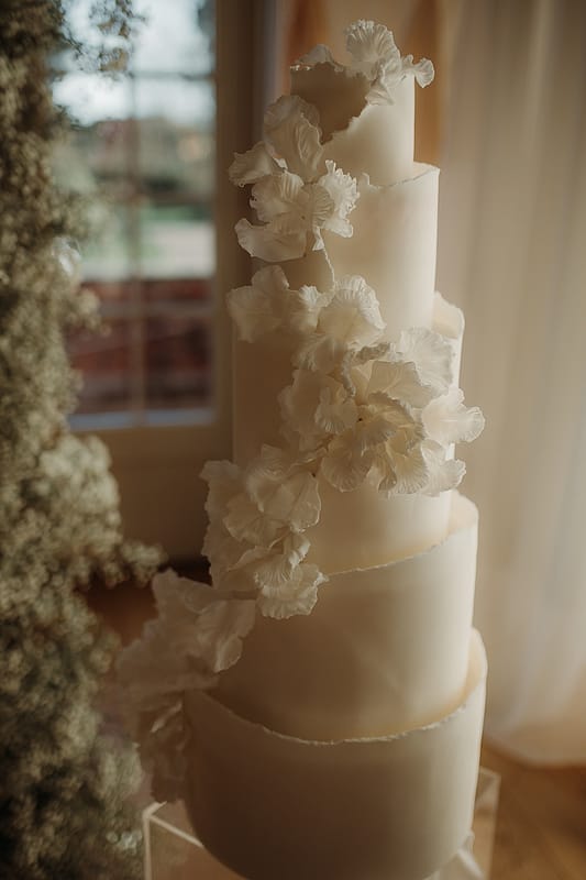 Image by <a class="text-p3" href="https://www.estherlouisetriffittphotography.com" target="_blank">Esther Louise Triffitt Photography</a>.