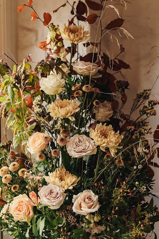 Image by <a class="text-p3" href="https://thechamberlins.co" target="_blank">The Chamberlins</a>.