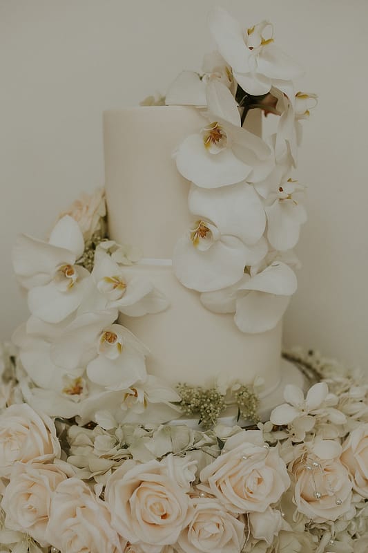 Image by <a class="text-p3" href="https://lauradeanphotography.com" target="_blank">Laura Dean Photography</a>.