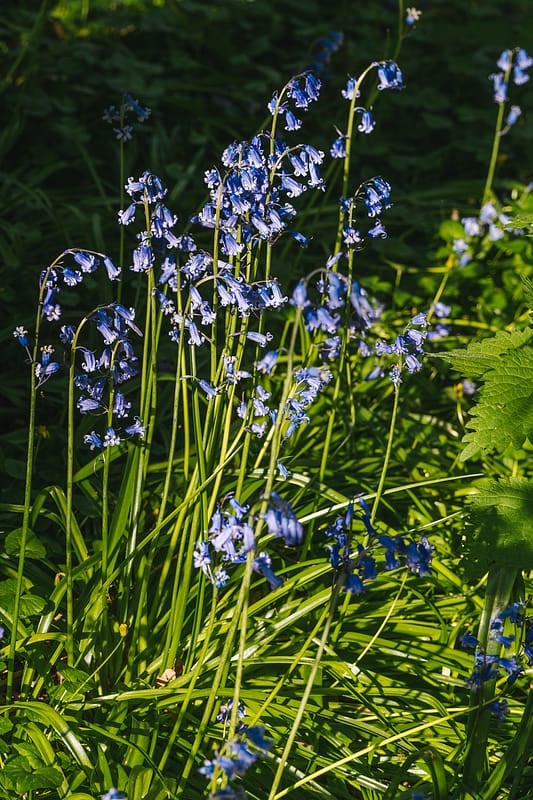 Image by <a class="text-p3" href="http://brettcharlesphotography.co.uk" target="_blank">Brett Charles Photography</a>.
