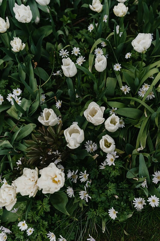 Image by <a class="text-p3" href="http://www.ruby-roux.com" target="_blank">Ruby Roux Photography</a>.
