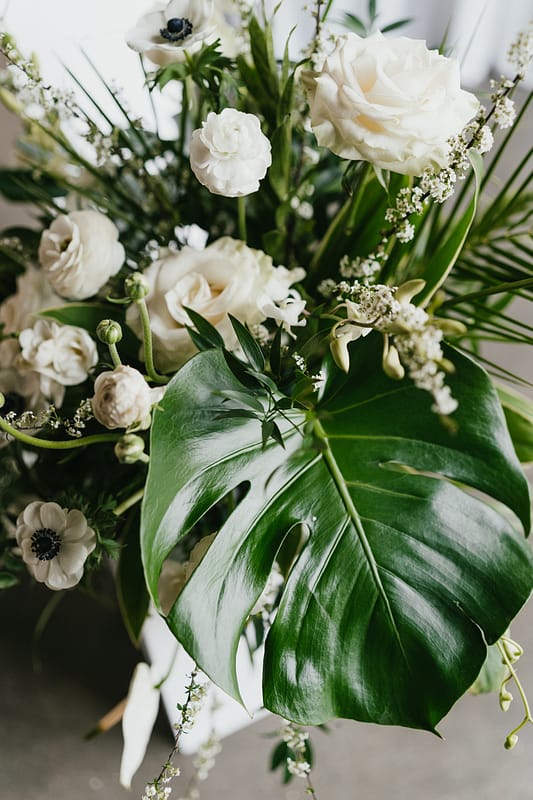 Image by <a class="text-p3" href="http://www.ruby-roux.com" target="_blank">Ruby Roux Photography</a>.