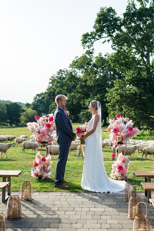 Image by <a class="text-p3" href="https://www.pennyyoungphotography.com" target="_blank">Penny Young Photography</a>.
