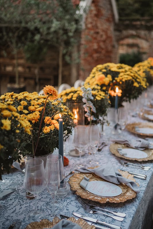 Image by <a class="text-p3" href="https://emilytylerphotography.com" target="_blank">Emily Tyler Photography</a>.