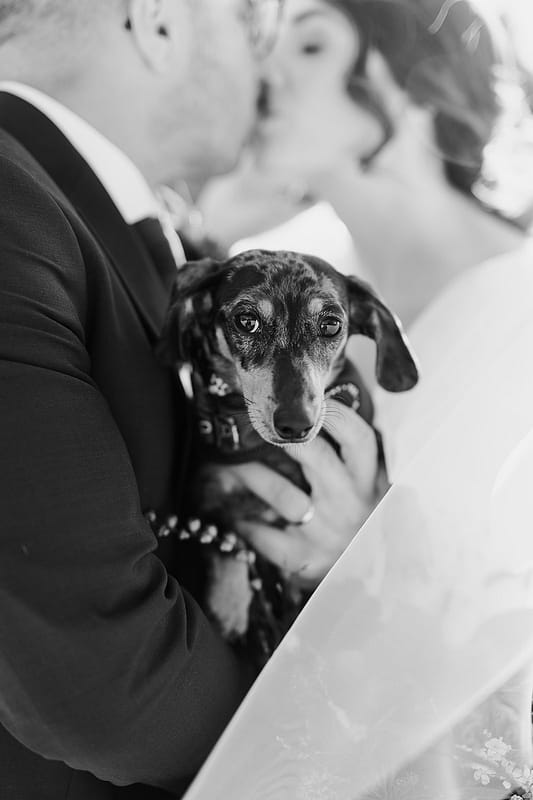 Image by <a class="text-p3" href="https://www.carlawhittingham.co.uk" target="_blank">Carla Whittingham Photography</a>.