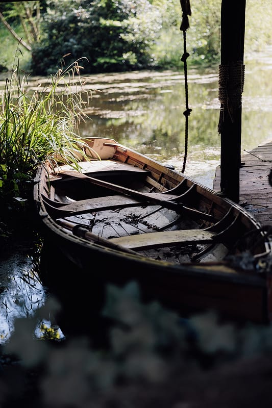 Image by <a class="text-p3" href="https://www.carlawhittingham.co.uk" target="_blank">Carla Whittingham Photography</a>.