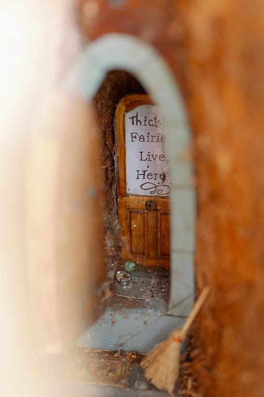 Image by <a class="text-p3" href="https://www.carlawhittingham.co.uk" target="_blank">Carla Whittingham Photography</a>.