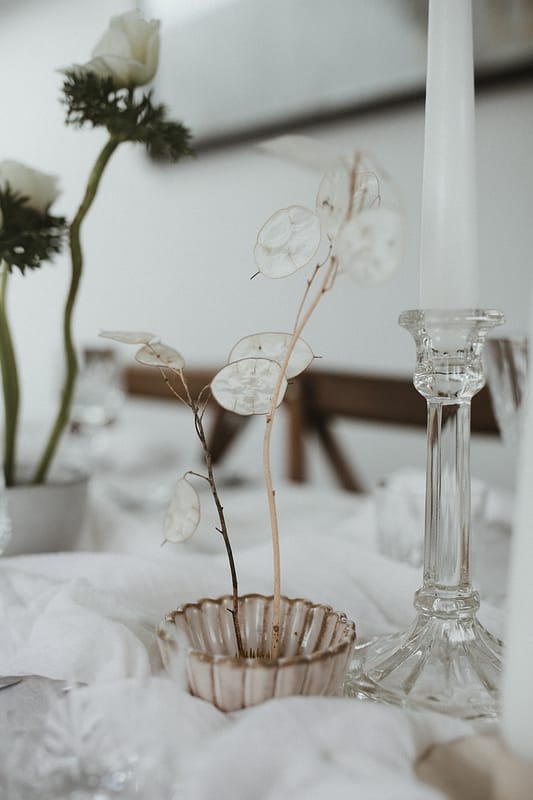 Image by <a class="text-p3" href="https://ashpowell.com" target="_blank">Ash Powell Photography</a>.