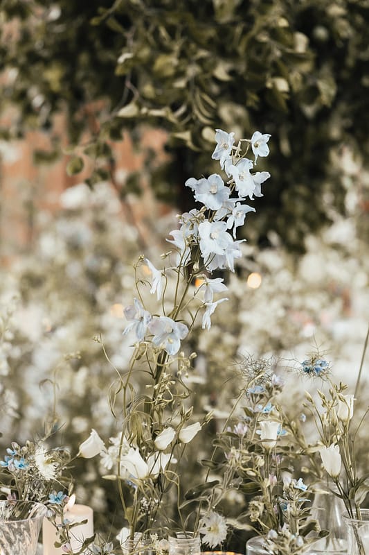 Image by <a class="text-p3" href="https://suzyelizabethphotography.co.uk" target="_blank">Suzy Elizabeth Photography</a>.
