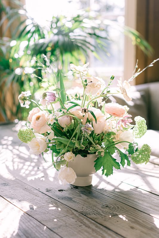 Image by <a class="text-p3" href="https://www.tarastattonphotography.com" target="_blank">Tara Statton Photography</a>.
