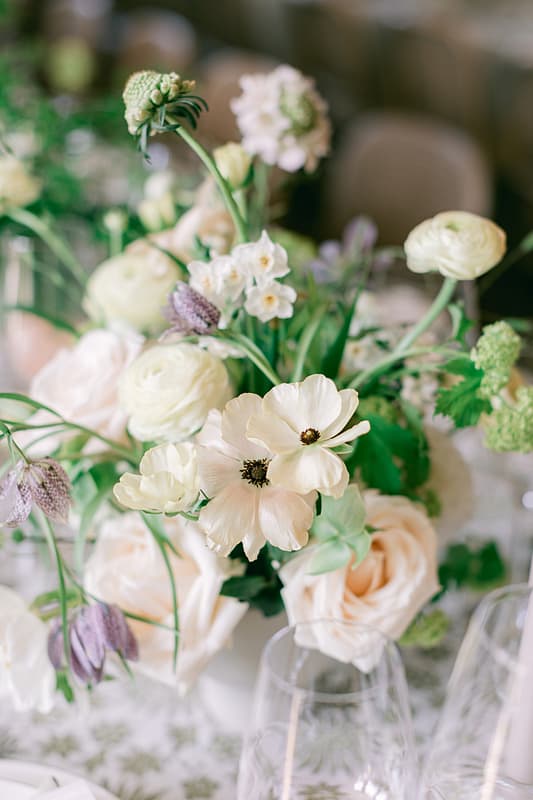 Image by <a class="text-p3" href="https://www.tarastattonphotography.com" target="_blank">Tara Statton Photography</a>.