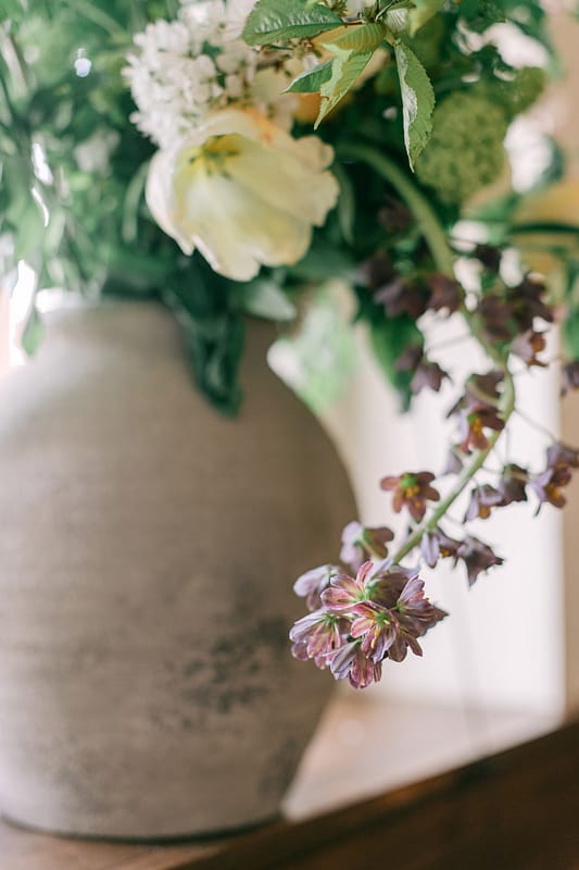 Image by <a class="text-p3" href="https://www.tarastattonphotography.com" target="_blank">Tara Statton Photography</a>.