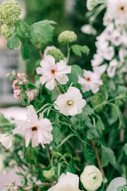 Image by <a class="text-p3" href="https://www.tarastattonphotography.com" target="_blank">Tara Statton Photography</a>.