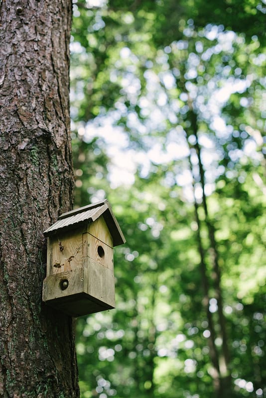Image by <a class="text-p3" href="http://www.hannahduffy.com" target="_blank">Hannah Duffy Photography</a>.