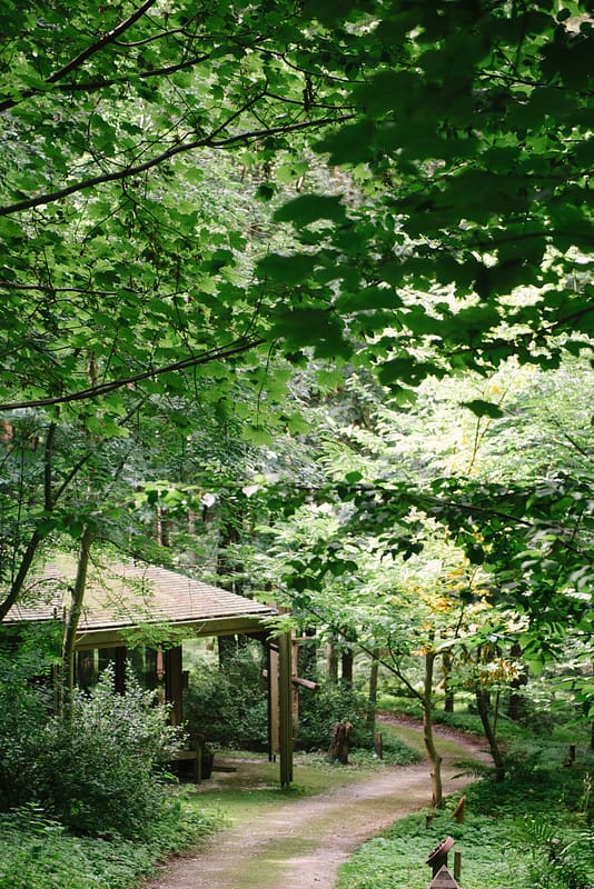 Image by <a class="text-p3" href="http://www.hannahduffy.com" target="_blank">Hannah Duffy Photography</a>.
