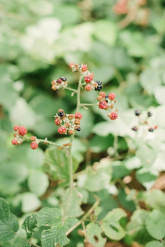 Image by <a class="text-p3" href="http://www.hannahduffy.com" target="_blank">Hannah Duffy Photography</a>.
