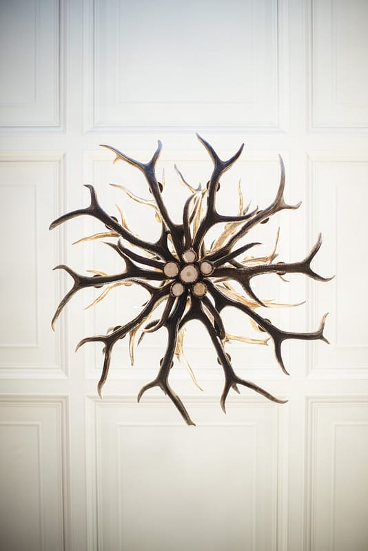Image courtesy of Paschoe House.