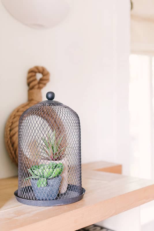Image by <a class="text-p3" href="http://www.hannahduffy.com" target="_blank">Hannah Duffy Photography</a>.