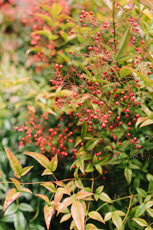 Image by <a class="text-p3" href="http://www.hannahduffy.com" target="_blank">Hannah Duffy Photography</a>.