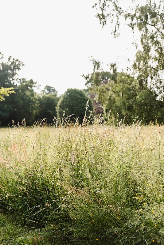 Image by <a class="text-p3" href="http://fionasweddingphotography.co.uk" target="_blank">Fiona Kelly Photography</a>.