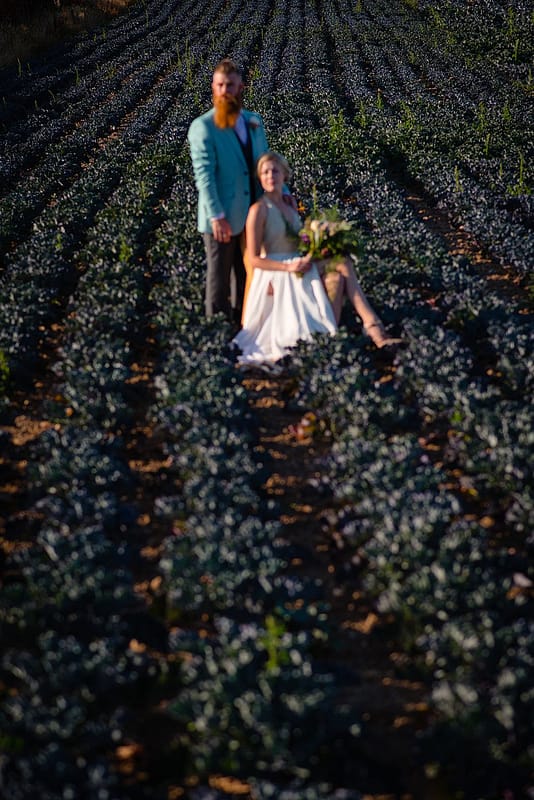 Image by <a class="text-p3" href="https://www.yetiphotography.co.uk" target="_blank">Yeti Photography</a>.