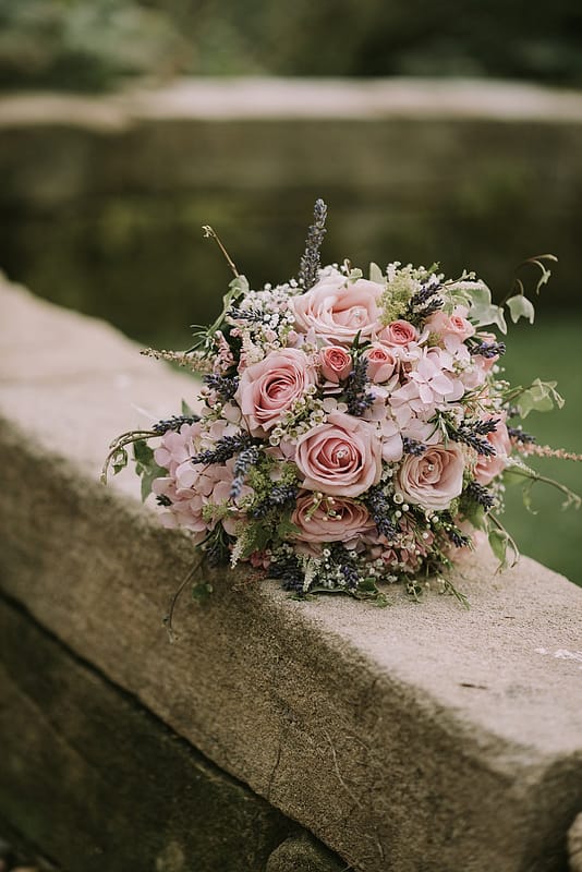 Image by <a class="text-p3" href="https://www.jamiemacphotography.com" target="_blank">Jamie Mac Photography</a>.