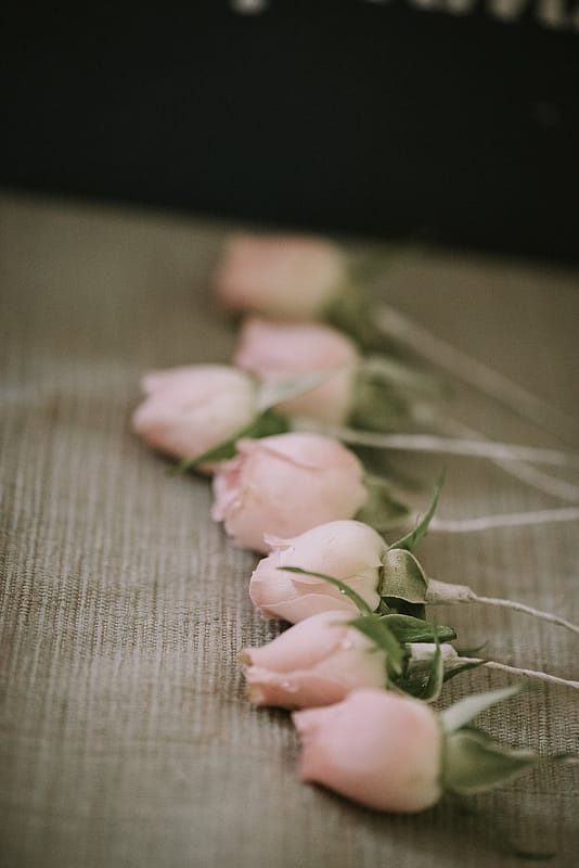 Image by <a class="text-p3" href="https://www.jamiemacphotography.com" target="_blank">Jamie Mac Photography</a>.