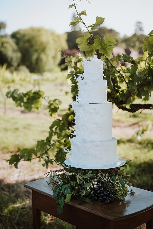 Image by <a class="text-p3" href="https://www.lauramarthaphotography.com" target="_blank">Laura Martha Photography</a>.