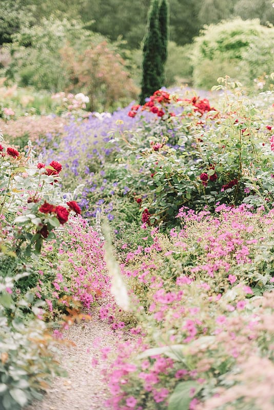Image by <a class="text-p3" href="https://www.luciewatsonphotography.com" target="_blank">Lucie Watson Photography</a>.