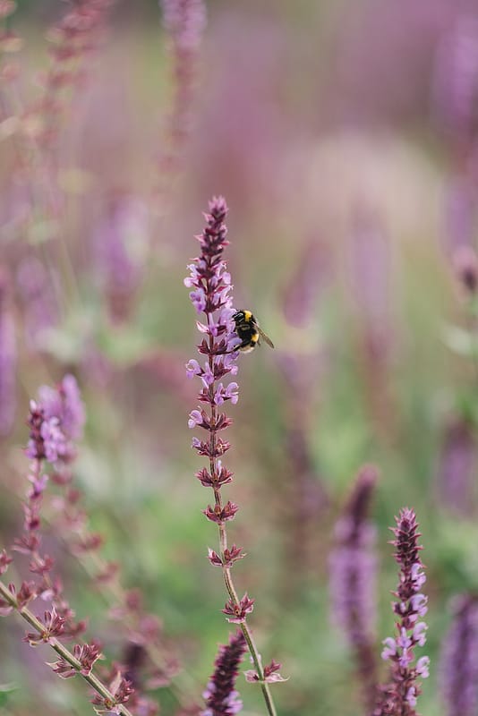 Image by <a class="text-p3" href="https://www.luciewatsonphotography.com" target="_blank">Lucie Watson Photography</a>.