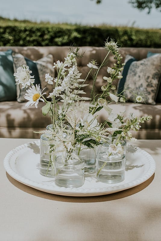 Image by <a class="text-p3" href="http://veronikaward.com" target="_blank">Veronika Ward Photography</a>.